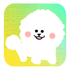 [LINEスタンプ] ビションフリーゼのくう 日常スタンプ3