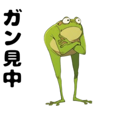 [LINEスタンプ] 表情豊かなカエルのスタンプ