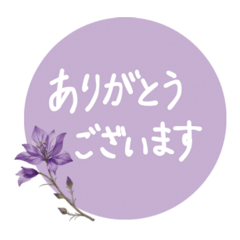 [LINEスタンプ] 思いやりの花言葉(手書きver.)