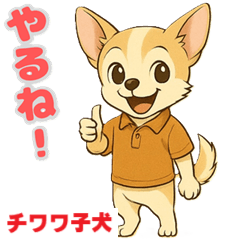 [LINEスタンプ] チワワ子犬の喜怒哀楽スタンプ3