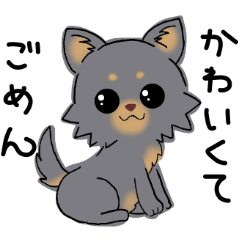 [LINEスタンプ] とにかくチワワかわいいブラック！