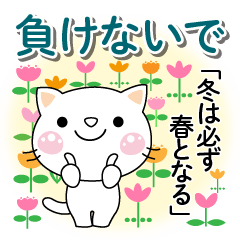 [LINEスタンプ] 気持ち伝えるしろちゃん♡励ましの女性部に