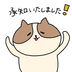 [LINEスタンプ] 敬語を喋るネコちゃん