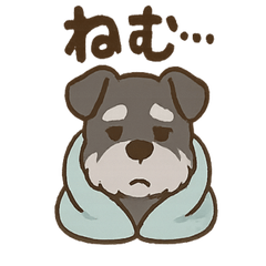 [LINEスタンプ] ねむねむシュナと毛布のしあわせ時間