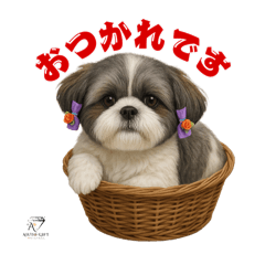 [LINEスタンプ] 可愛いシーズー犬 ハッピーのLINEスタンプ