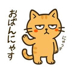 [LINEスタンプ] だってねこだもの 京都弁編