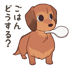 [LINEスタンプ] ダックス大好き！家族の連絡専用◆レッド
