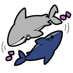 [LINEスタンプ] 仲良しサメちゃんず