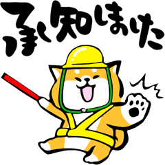 [LINEスタンプ] ふでしば【安全第一、3匹】柴犬