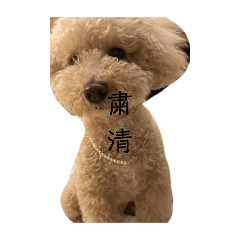[LINEスタンプ] 日常使いマルちゃん