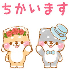[LINEスタンプ] ▶動く❤️カップルいやしばいぬ❤️7/柴犬