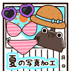 [LINEスタンプ] 写真加工用！夏のおもしろコスプレスタンプ