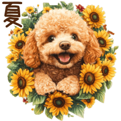 [LINEスタンプ] かわいく夏満喫トイプードル