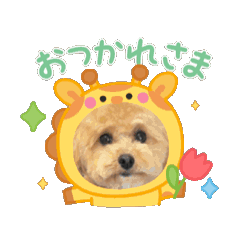 [LINEスタンプ] makura＆ochame！No.1