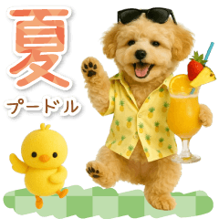 [LINEスタンプ] 癒しプードルの「夏」の毎日