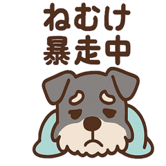 [LINEスタンプ] ねむねむシュナの無限ぬくぬくセット
