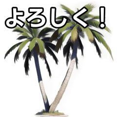 [LINEスタンプ] 【おしゃべり用】ヤシの木