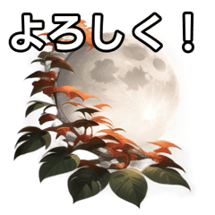 [LINEスタンプ] 葉月ひまり