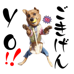 [LINEスタンプ] む〜ぶ