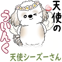 [LINEスタンプ] シーズー犬 2025 「天使ちゃん」