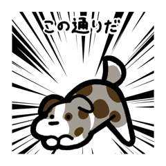 [LINEスタンプ] いつでも使えるボーダーコリー（茶マール）