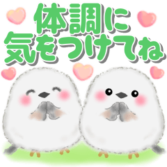 [LINEスタンプ] シマエナガさん❤️デカ文字