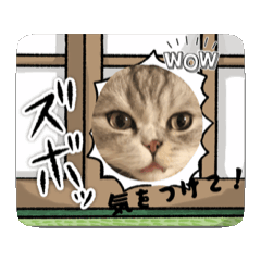 [LINEスタンプ] マイキャッ2ー3
