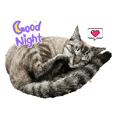 [LINEスタンプ] むぎるる