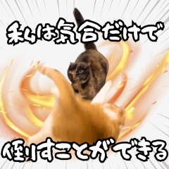 [LINEスタンプ] みそこぶ劇場：うちの猫