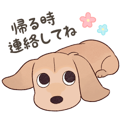 [LINEスタンプ] ダックス大好き！家族の連絡専用◆クリーム