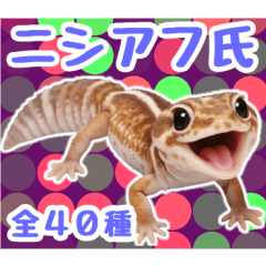 [LINEスタンプ] ニシアフ氏の日常