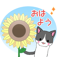 [LINEスタンプ] ちびにゃんこ18【夏】