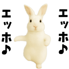 [LINEスタンプ] エッホエッホうさぎ
