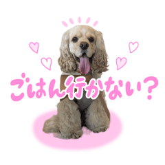[LINEスタンプ] ティムくん♂