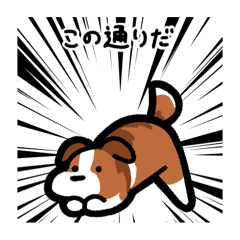 [LINEスタンプ] いつでも使えるボーダーコリー（セーブル）