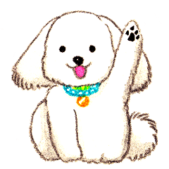 [LINEスタンプ] プードルのこてつくん