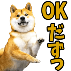 [LINEスタンプ] 山形弁☆柴犬