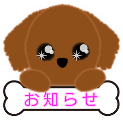 [LINEスタンプ] PTA、委員会、打合せの連絡トイプードル版