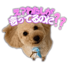 [LINEスタンプ] Mimi.Mignon