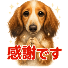 [LINEスタンプ] ふわもこダックスの気づかい便