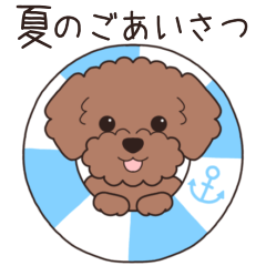 [LINEスタンプ] 『トイプードル』夏のごあいさつ