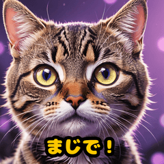 [LINEスタンプ] リアクションねこneko