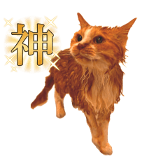 [LINEスタンプ] 戸森家わんにゃんず