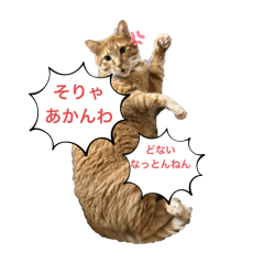 [LINEスタンプ] アズ＆ニコ 2