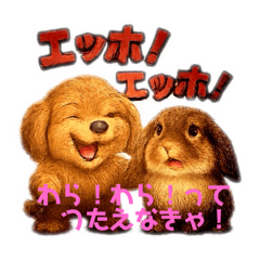 [LINEスタンプ] もも＆まろのエッホ！エッホ！