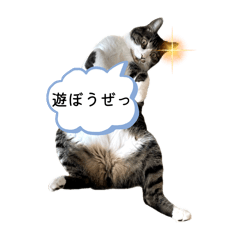 [LINEスタンプ] アズ＆ニコ0