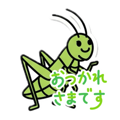 [LINEスタンプ] 使いやすいこんちゅうスタンプ