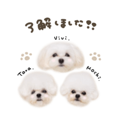 [LINEスタンプ] タラ.モチ.ヴィヴィちゃん♡mix