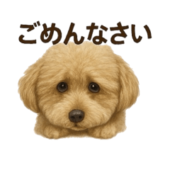 [LINEスタンプ] もこちゃんくん