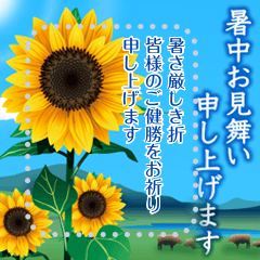 [LINEスタンプ] 【書き込める 暑中見舞い 夏 サマー】